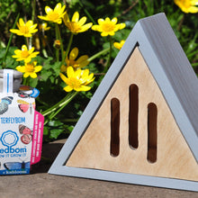 Load image into Gallery viewer, Butterfly House