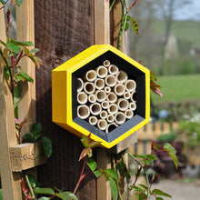 Load image into Gallery viewer, Yellow Black Hexagon