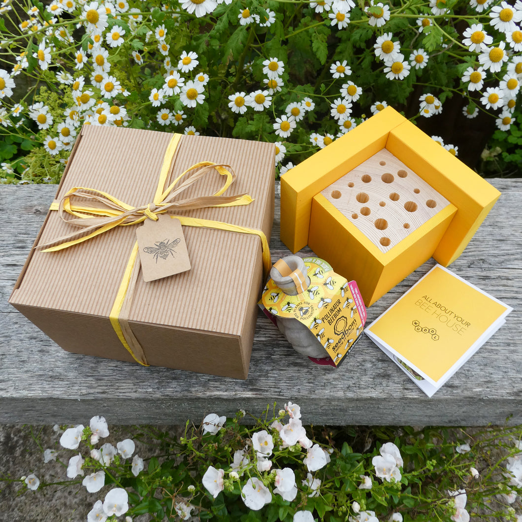 Garden Gift Set - Mini Bee House