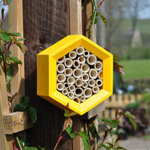 Load image into Gallery viewer, Hexagon yellow bee hotel
