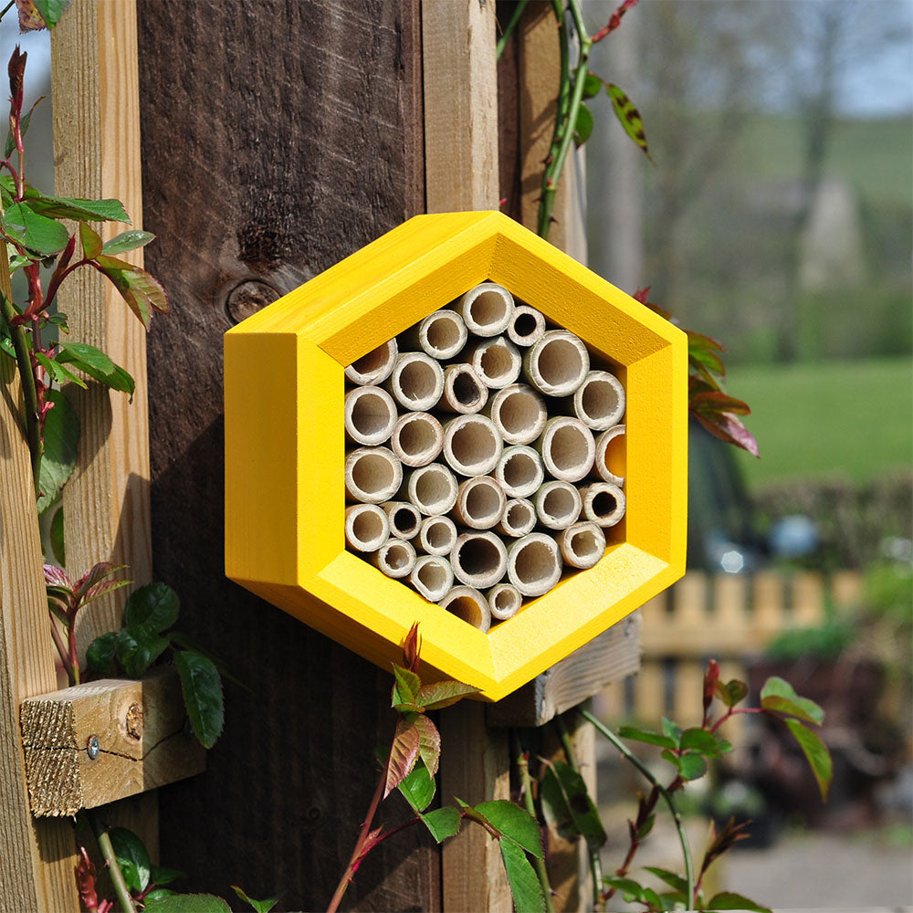 Hexagon yellow bee hotel